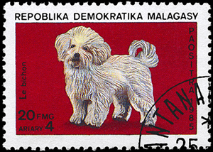 Madagascar Le Bichon Stamp